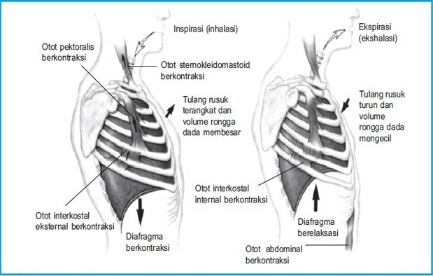 Soal Latihan 1 Quiz - Quiz